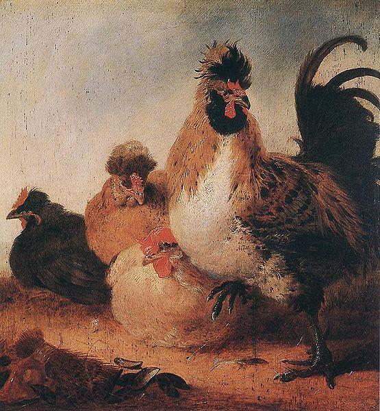 Aelbert Cuyp Rooster and Hens. Spain oil painting art
